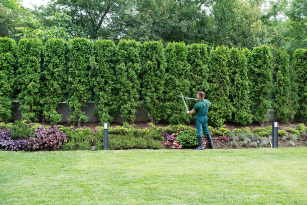 Lawn Renovation and Restoration in Twin Rivers, NJ